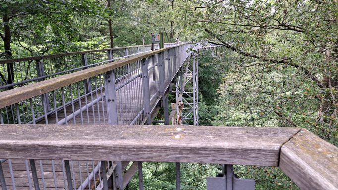 Harz 2026